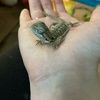 alex_kester